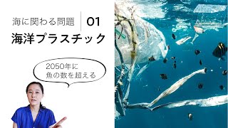 海に関わる問題 │ 海洋プラスチックゴミ　生分解されずに増え続ける海のプラスチックゴミ