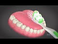 چۆنیەتی شۆردنی ددان how to brush your teeth