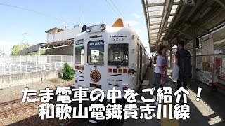 たま電車の中にドラえもん　和歌山電鐡貴志川線