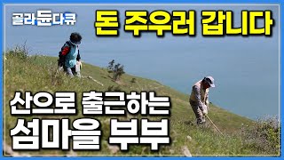 '바다 대신 산으로 갑니다' 돈 벌어다 주는 쏠쏠한 효자상품 찾아 산으로 출근하는 섬마을 부부｜안마도 지네잡이｜한국기행｜#골라듄다큐