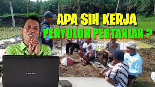 Tugas Pokok Penyuluh Pertanian | Apa Kerja PPL???