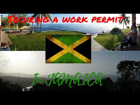 How to Secure a Work Permit in Jamaica | TravelrHelp #7 How to Secure a Work Permit in Jamaica | TravelrHelp #7