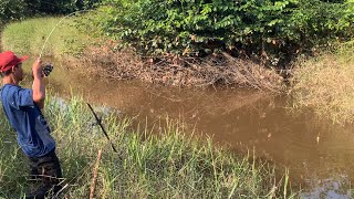 DIHAJAR ROMBONGAN IKAN GABUS.!!! MANCING IKAN YANG SANGAT SERU