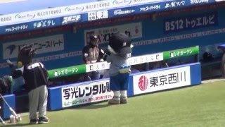 日本ハム谷口選手に遊んでもらうズーちゃん。