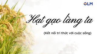 Hạt gạo làng ta - Tiếng Việt 5 - Kết nối tri thức với cuộc sống