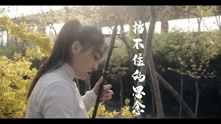 二胡|erhu|古银州浩浩|《挡不住的思念》，旋律优美动人，情深意浓触动心弦|中国民乐|Chinese folk music@Huahaixunyin