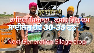 Advanta Brachysorgho 3 kg ਜ਼ੀਰੋ ਡਰਿੱਲ ਨਾਲ ਬਿਜਾਈ ਦਾ ਤਾਰੀਕਾ॥ ਂ #farming #Punjab#vlogs