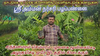 Plant Nursery Garden | நர்சரி தொழில் அனைத்து ரக கன்றுகளும் ஒரே இடத்தில் பண்ணையம் | Village vivasayam