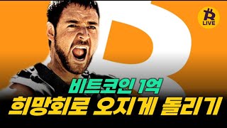 비트코인 1억 희망회로 오지게 돌려봤다.