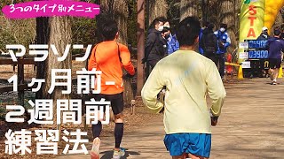 マラソン前の練習メニュー4週間前から2週間前編　ロング走、距離走、30km、スピード練習の判断基準を学ぼう