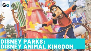Disney Parks Disney Animal Kingdom | Behind the Scenes