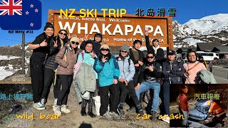 Wild boar hit my car | Whakapapa Ski Trip 紐西蘭北島滑雪 撞野豬 汽車報廢 | New Zealand Working Holiday | NZ WHV 11