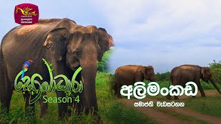 Sobadhara - Sri Lanka Wildlife Documentary | 2021-12-31 | සමාප්ති වැඩසටහන| Elephant-pass - (අලිමංකඩ)