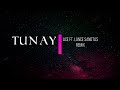 Tunay - Ace Ft. Lance Santdas (Remix) 💕