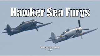 Hawker Sea Furys - Duxford Air Festival 2018