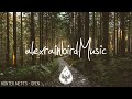 Into The Woods 🌲 - A Mysterious FolkPop Playlist