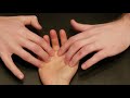 Muscle Palpation - Palmaris Longus