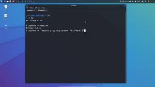 How To Stabilize Your UGLY Reverse Shell!