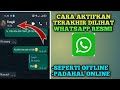 CARA AKTIFKAN TERAKHIR DILIHAT WHATSAPP SEPERTI OFFLINE||PADAHAL ONLINE