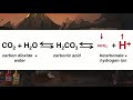 acid base disorders sketchy medical usmle step 1 review