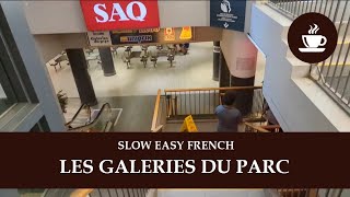 LES GALERIES DU PARC À MONTRÉAL - Intermediate Quebec French with Subtitles | Frenchpresso