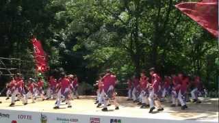 踊りゃん祭さん　2012年原宿表参道元氣祭スーパーよさこい