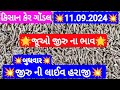 આજના જીરુ ના ભાવ | જીરુ ના ભાવ | જીરુ નો ભાવ jeera na bajar bhav | Gondal marketing yard 11-09-2024