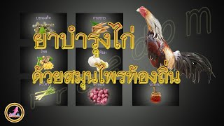 ไก่แข็งเเรงด้วยสมุนไพรใกล้ตัว...!!!