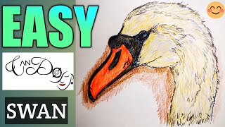 How To Draw A Swan Step By Step For Beginners | Easy Close Up Swan Head Drawing Tutorial | Swan