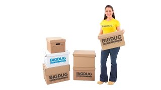BiGDUG Document Boxes