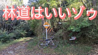 【GRAVEL】淡輪の林道へグラベルライド