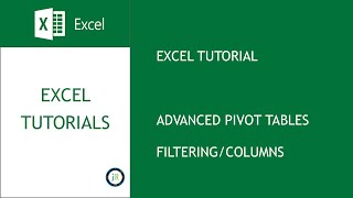 Excel Example Census Analysis Video 08 Pivot Table Advanced Features