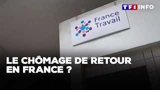 Le chômage de retour en France ?｜TF1 INFO