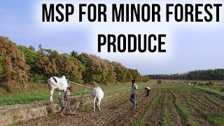 MSP hiked of Minor Forest Produce, Rate hike to benefit 5 crore Tribals, Current Affairs 2019