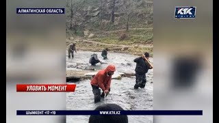 Голыми руками ловят рыбу после прорыва дамбы на Ворошиловском озере близ Алматы