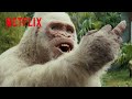 育ての親に対して中指を立てるアルビノのゴリラ | ランペイジ 巨獣大乱闘 | Netflix Japan