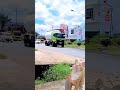 Colorful Hino trucks,#shorts,#viral,#trending