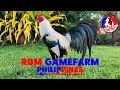 RDM GAMEFARM | PHILIPPINES