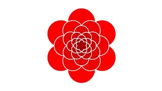 Simple Python Turtle Graphic and Code: Rosette
