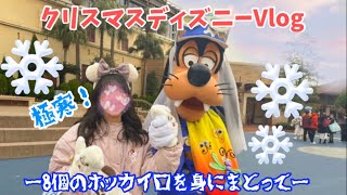 【極寒】限界DヲタがクリスマスのディズニーシーでVlogとってきた！🎄