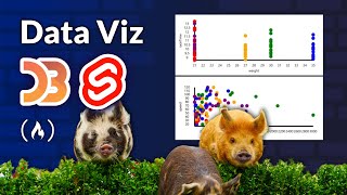 Data Viz w/ Svelte and D3 Tutorial – Custom and Interactive Data Visualization