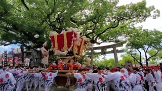 コロナ後初の宮入！　３年ぶり！令和４年９月１０日　百舌鳥八幡宮　月見祭　１番　赤畑町ふとん太鼓②