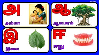 உயிர் எழுத்துக்கள் / அ ஆ இ ஈ/அ அம்மா /Learn Uyir Ezhuthukal / Tamil Alphabets Litters / Tamil