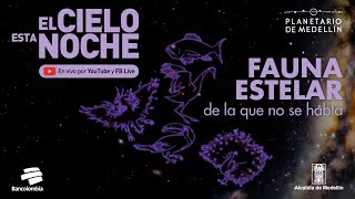 El cielo esta noche: Fauna estelar | Planetario de Medellín