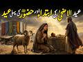 Eid ul Adha Ki Asal Kahani | Hazrat Ibrahimؑ Aur Hazrat Ismailؑ Ki Qurbani