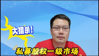 梦断独角兽，谁是芯片领域的下一个象帝先？| 私募股权一级市场大猎杀！