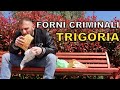 Forni criminali TRIGORIA