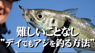 【アジング】デイで狙うアジの釣り方はコチラ/奥津剛《おくつ・たけし》