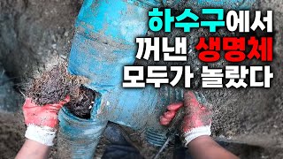 변기 역류의 원인이 오수관 속에 살고 있던 생명체였다! (317화 분당하수구현장) | 하수구공식TV📺