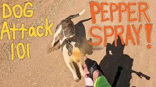 DOG ATTACK 101: 5TH EDITION w/BIG TEX/AMPUTEE CYCLIST AARON SMITH of Gainesville, TX Pimienta Perros